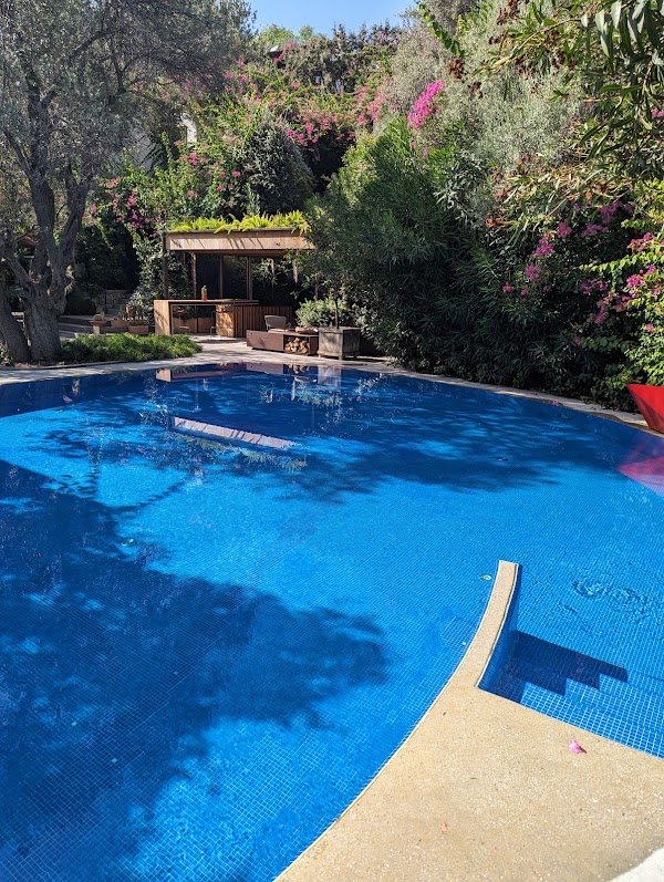 MACAKIZI BODRUM 4