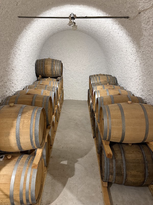 Art Space Art Gallery - Winery - Museum 2