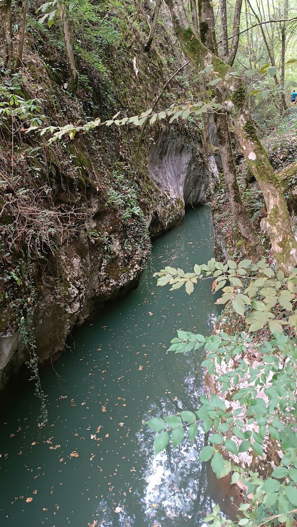 Cheile Carașului