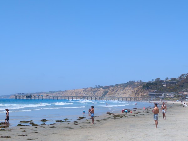 la Jolla Shores Beach