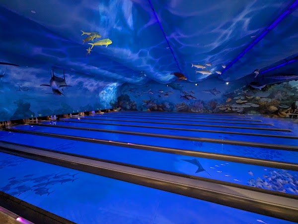 Uncle Buck's Fish Bowl and Grill 4