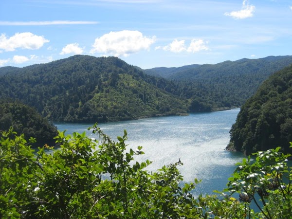 Lake Waikaremoana 3