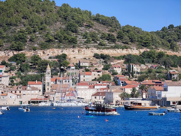 Vis 4