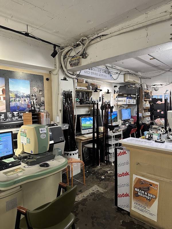 Whale photo lab 4