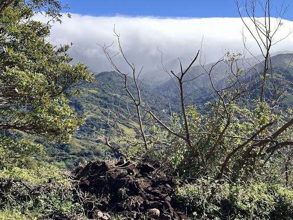 Monteverde 4
