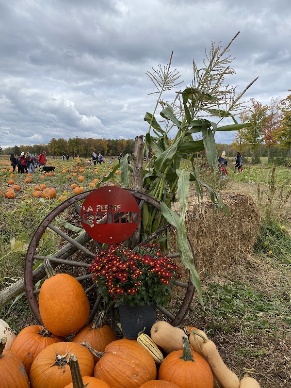 Quinn Farm 4