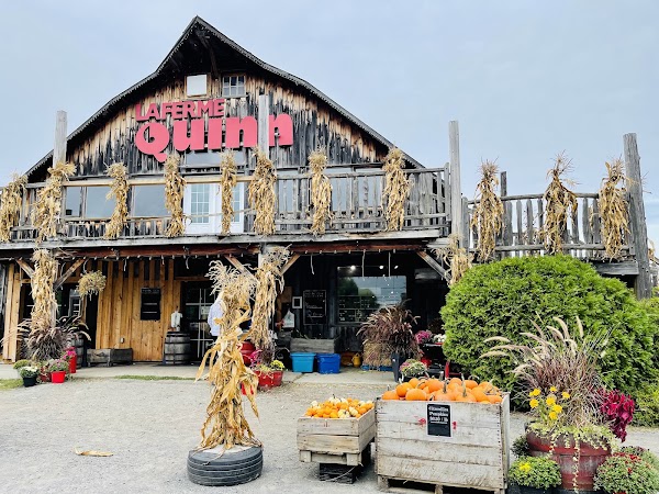 Quinn Farm 3
