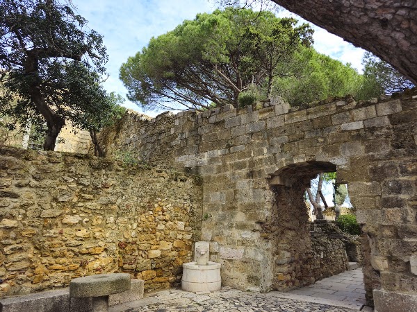 Palácio dos Condes de Vila Flor 5