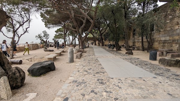 Palácio dos Condes de Vila Flor 4