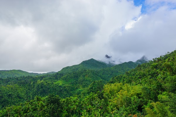 El Yunque National Forest 4