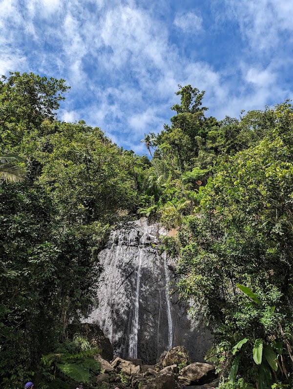 El Yunque National Forest 3