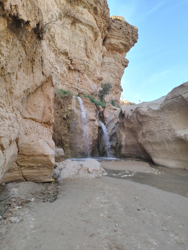 Tamaghza Oasis