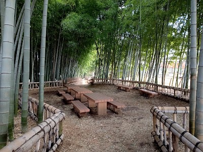 Chikurin Park