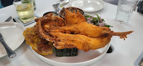 Cubita 4