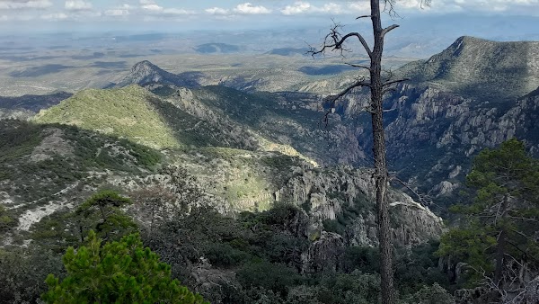 Sierra Madre Occidental