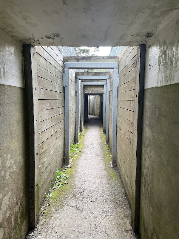 Peninsula Fort 1