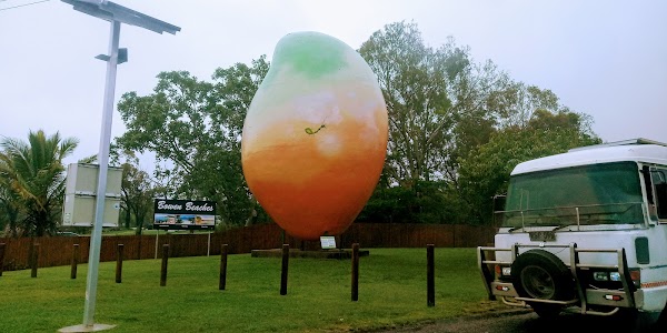 Big Mango 3