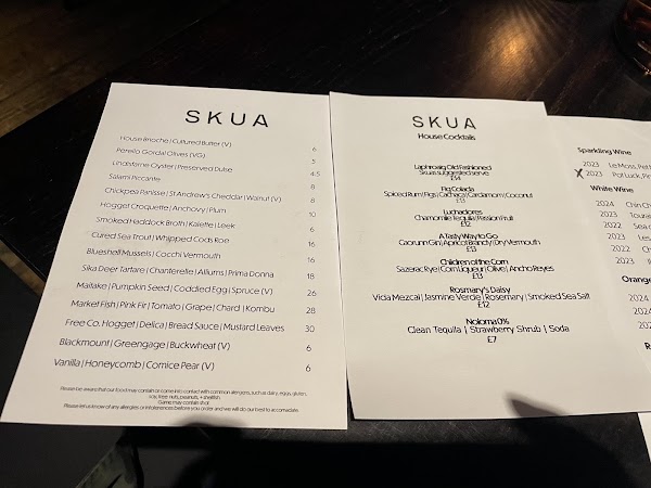 Skua 3