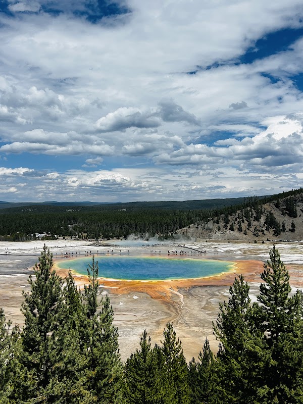 Yellowstone National Park Gateway Garden 5