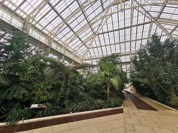 Palm House 5