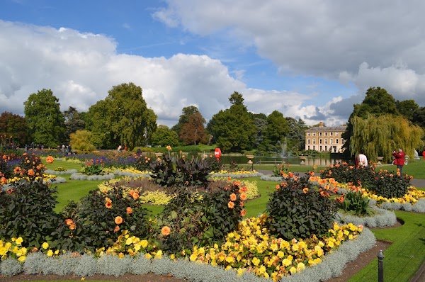 Palm House 4