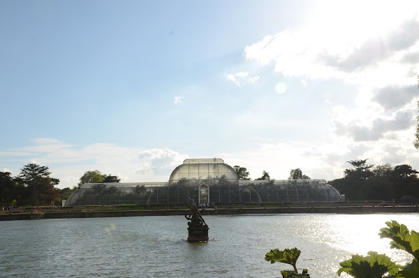 Palm House 3