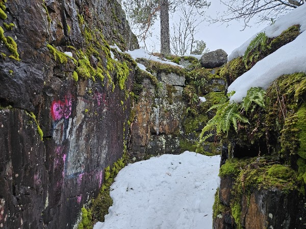 First World War Fortifications in Mustavuori