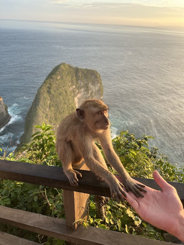 Kelingking sunset view point 5