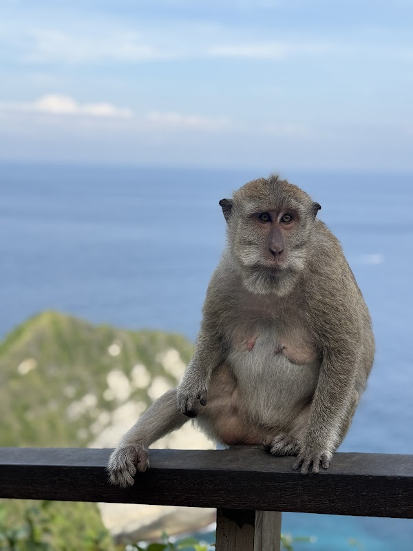 Kelingking sunset view point 3