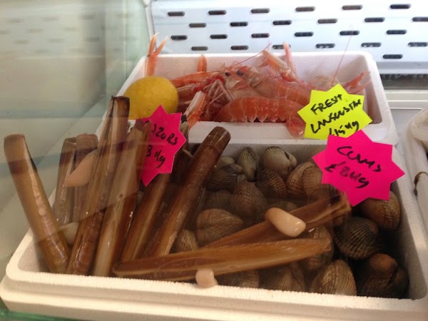 The Oyster Shed 5