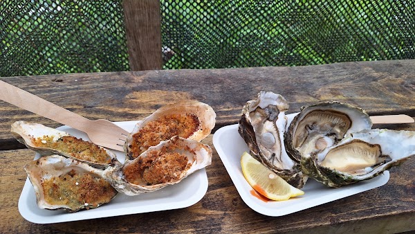 The Oyster Shed 4