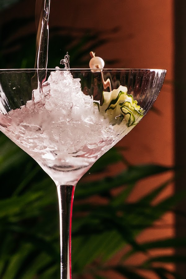 Hampton House - Dallas 4