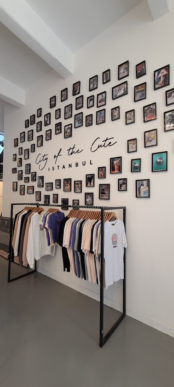 Cat Museum Istanbul