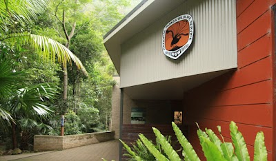 Minnamurra Rainforest Centre 2