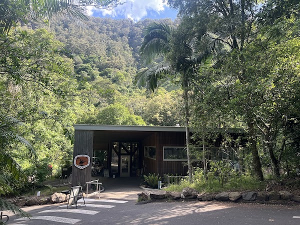 Minnamurra Rainforest Centre 6