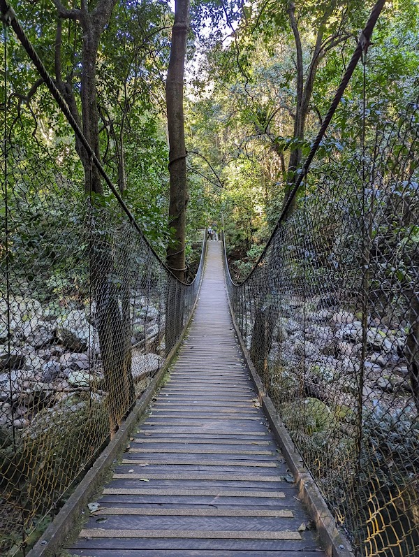 Minnamurra Rainforest Centre 3