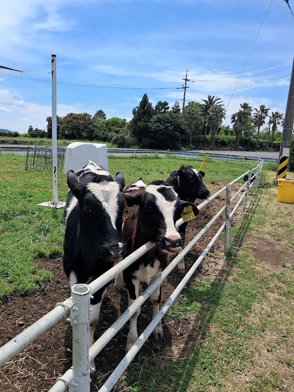 Honest Milk Main Branch 2