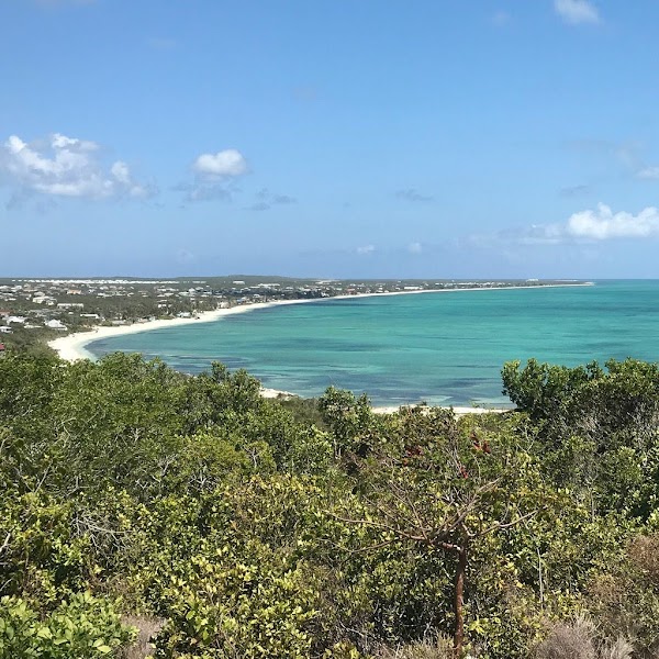 Caribbean 9