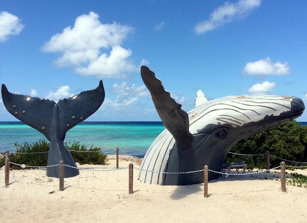 Grace Bay 3