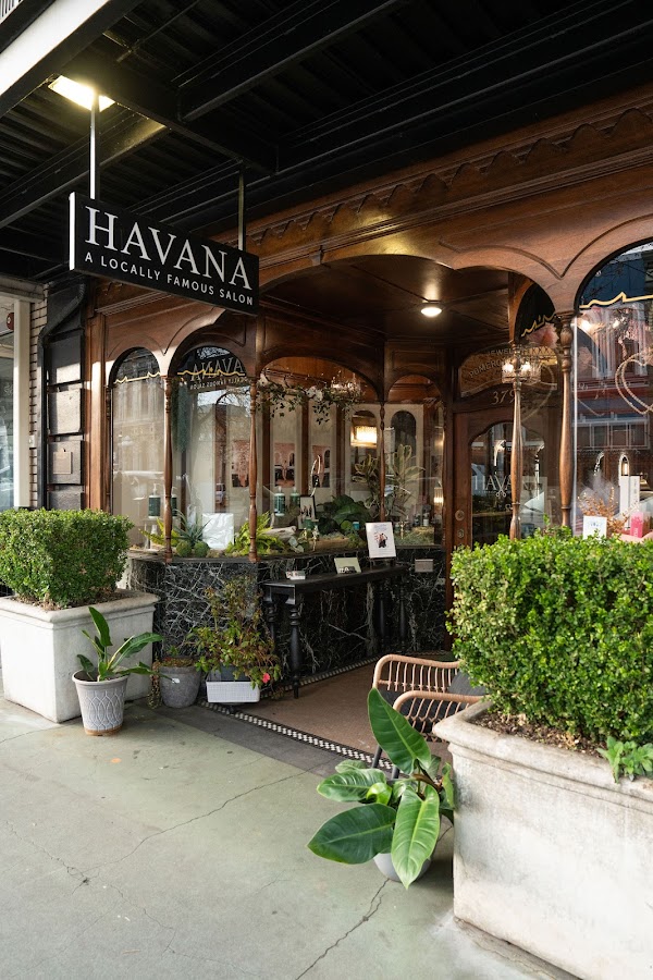 Havana Salon 2