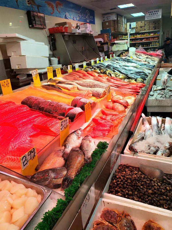 dong sheng food inc
