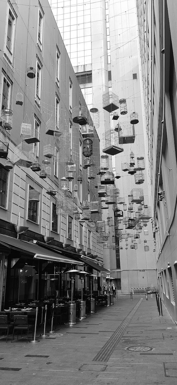 Angel Place 5