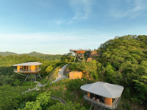 Suitree Experience Hotel
