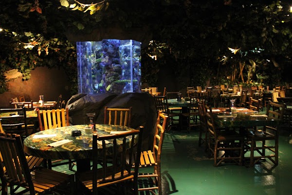 Rainforest Cafe 1