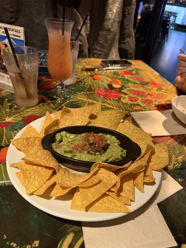 Rainforest Cafe 5