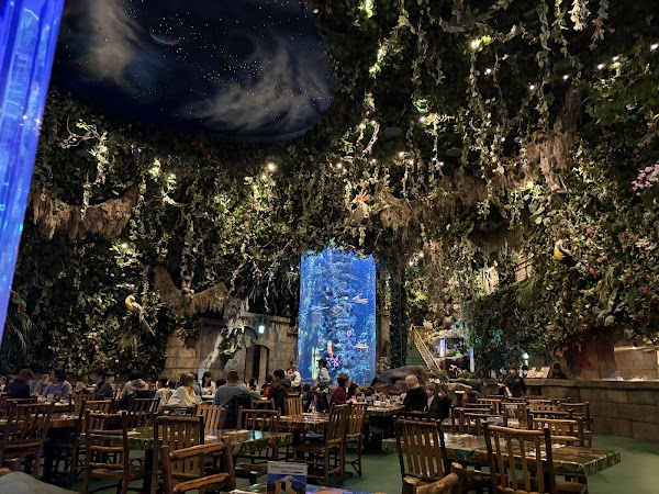 Rainforest Cafe 3
