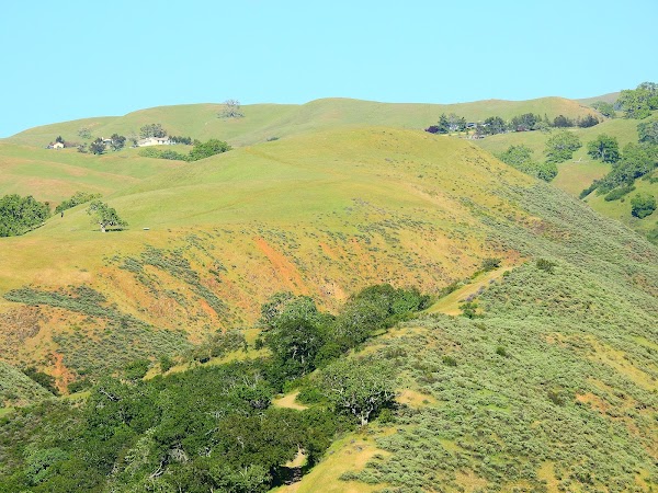 Sunol Regional Wilderness 1