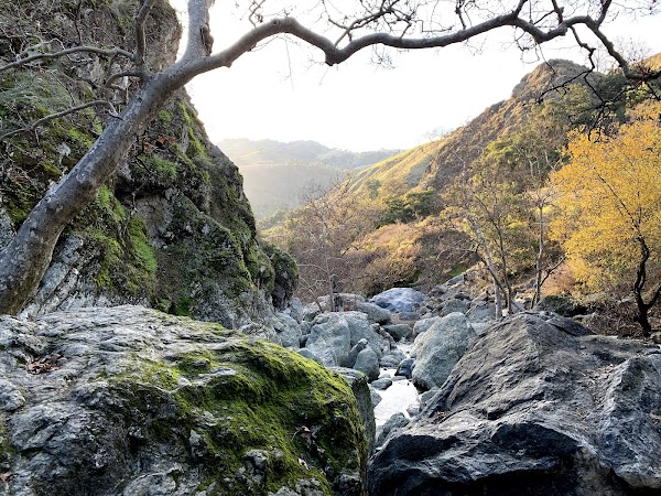 Sunol Regional Wilderness 5