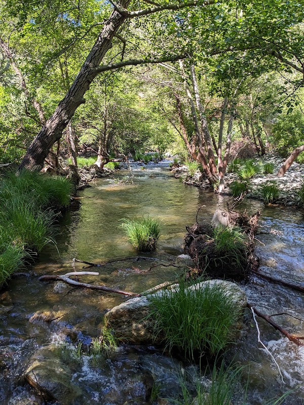 Sunol Regional Wilderness 2