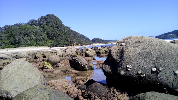 Hot Water Beach 3